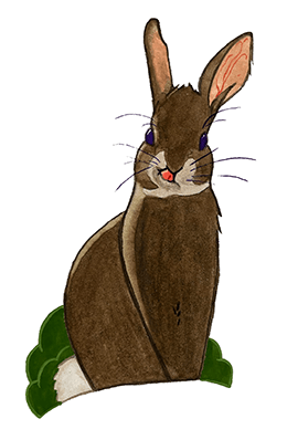 A sticker of a rabbit with it's tongue in it's nose that Anna made for a creative challenge in 2023.